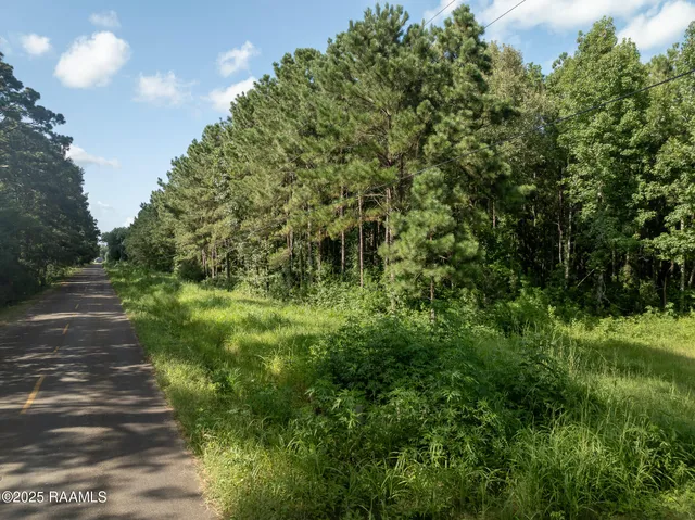$55,000 | Tbd Jolene Road, Basile, LA 70515