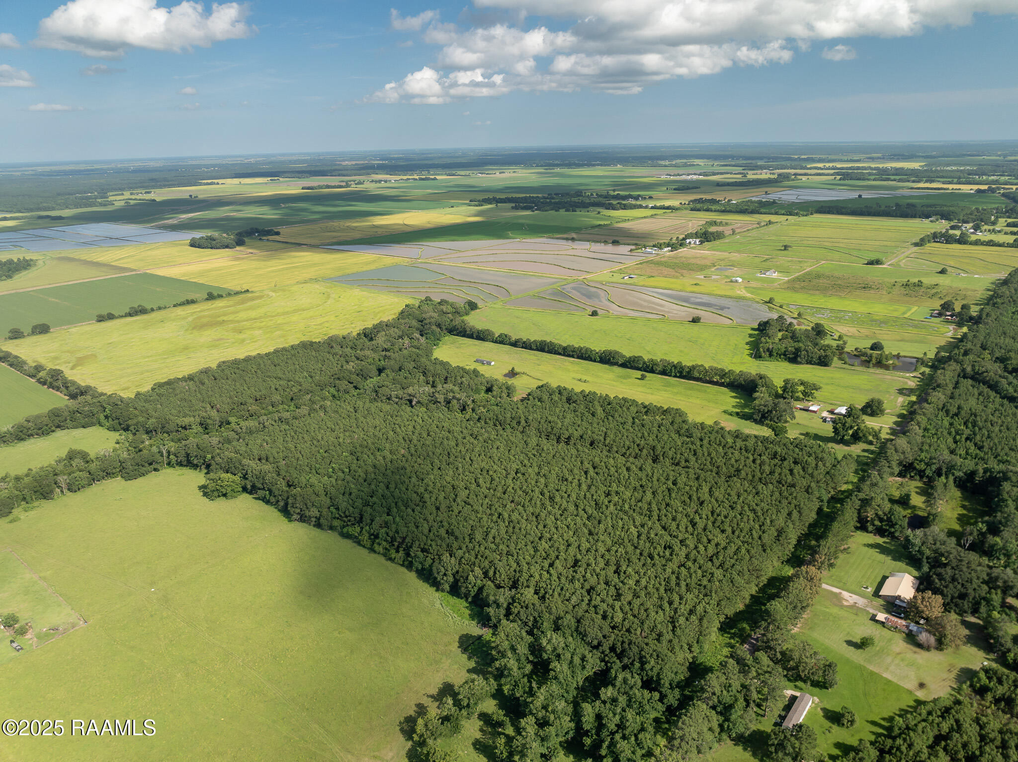 Tbd Jolene Road Basile, LA 70515 - Photo 7 of 14 DJI_0326