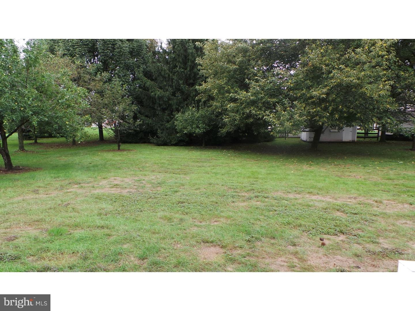 3655 Reiniger Road Hatboro, PA 19040 - Photo 3 of 16 Back Yard