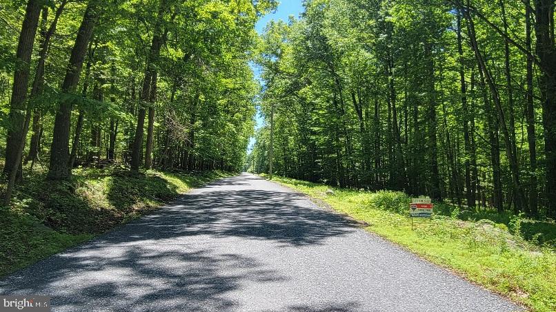 Mink Farm Road Myersville, MD 21773 - Photo 3 of 3