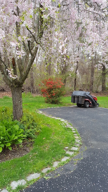 12 Lovering Street Medway, MA 02053 - Photo 22 of 23