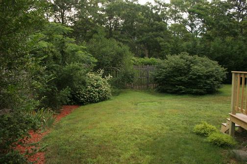 38 Leonard Road Hyannis, MA 02601 - Photo 7 of 35 a view of a yard with a tree