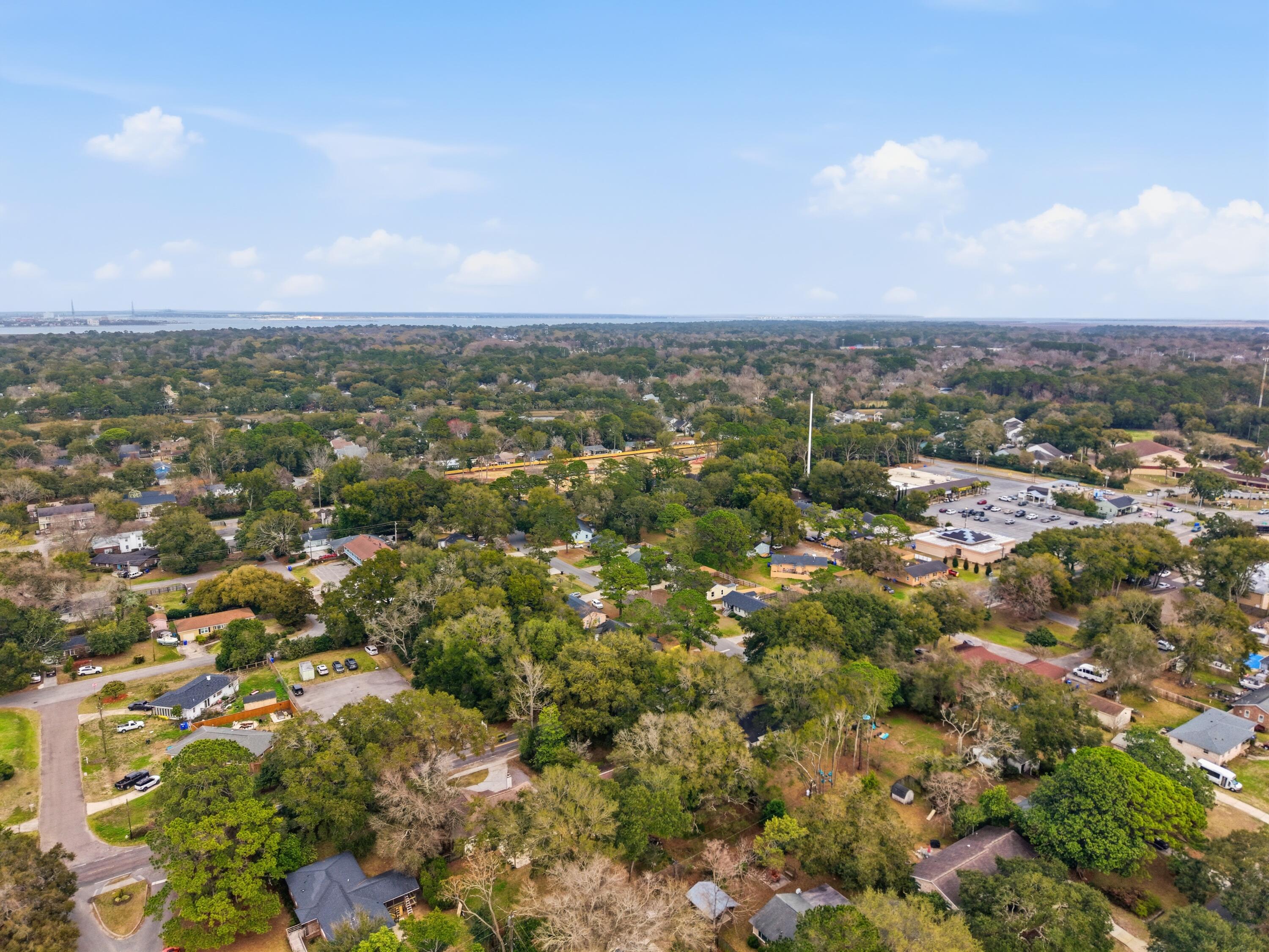 1315 Camp Road Charleston, SC 29412 - Photo 35 of 42 Aerial Overhead