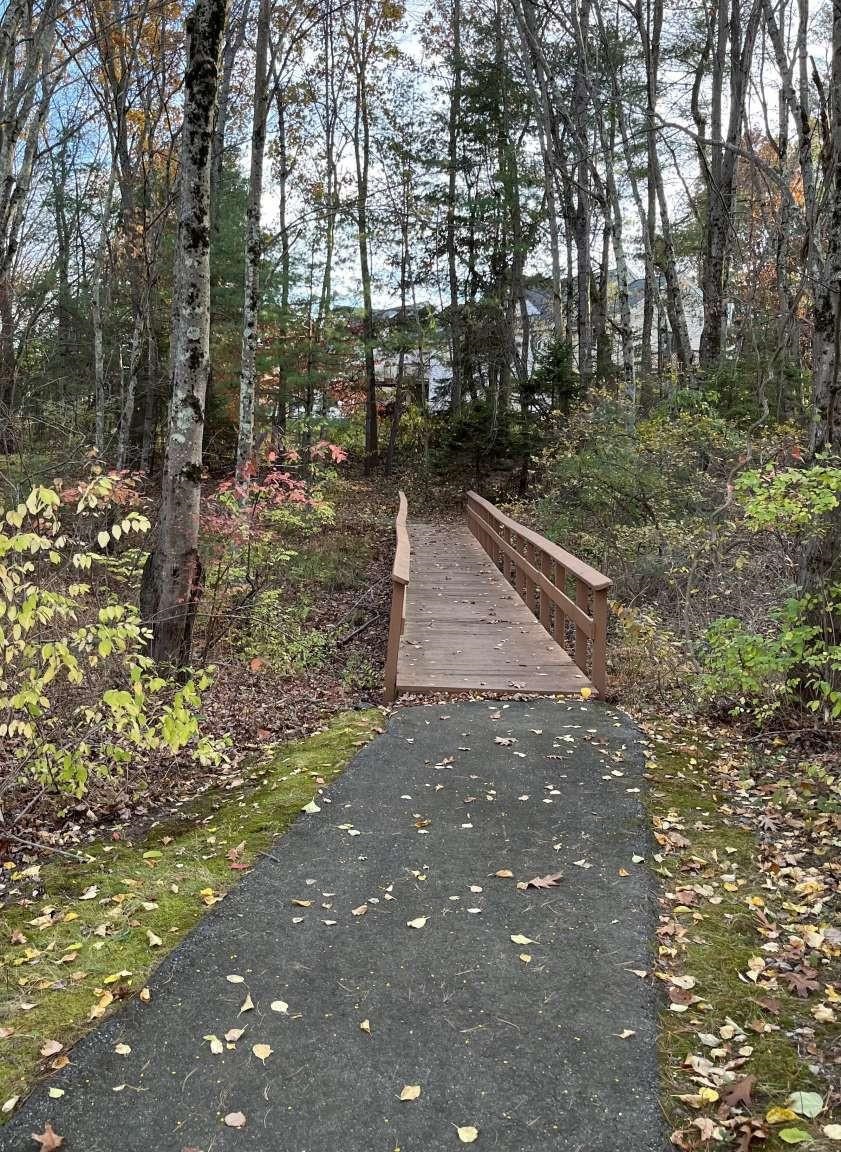 54 Ridgewood Drive Atkinson, NH 03811 - Photo 21 of 22