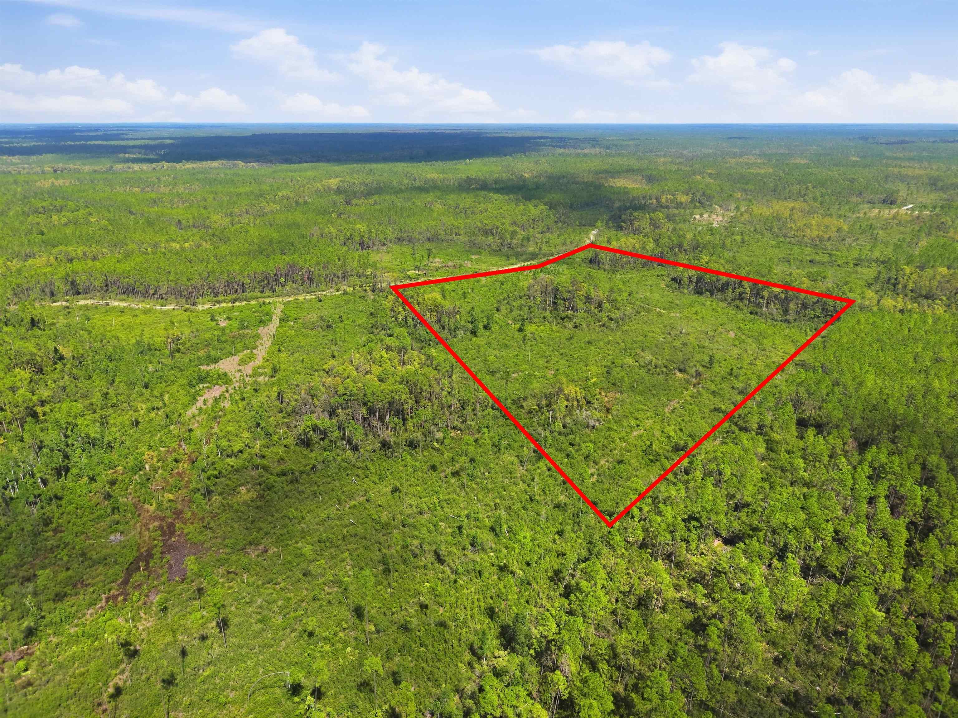 77 Circle Block Loop Perry, FL 32347 - Photo 7 of 22 Gallery Image 7