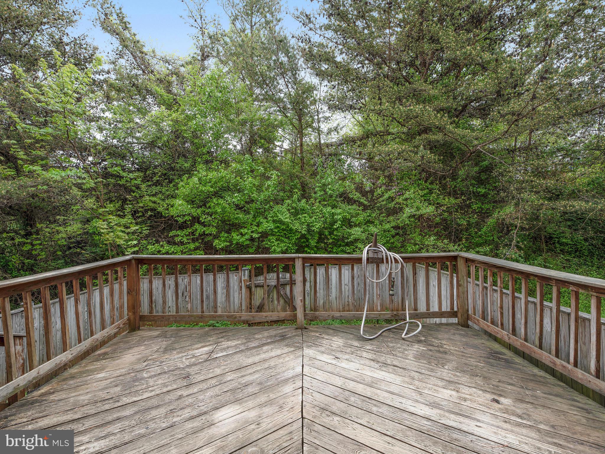2039 Putnam Road Halethorpe, MD 21227 - Photo 28 of 32 In the private fenced yard