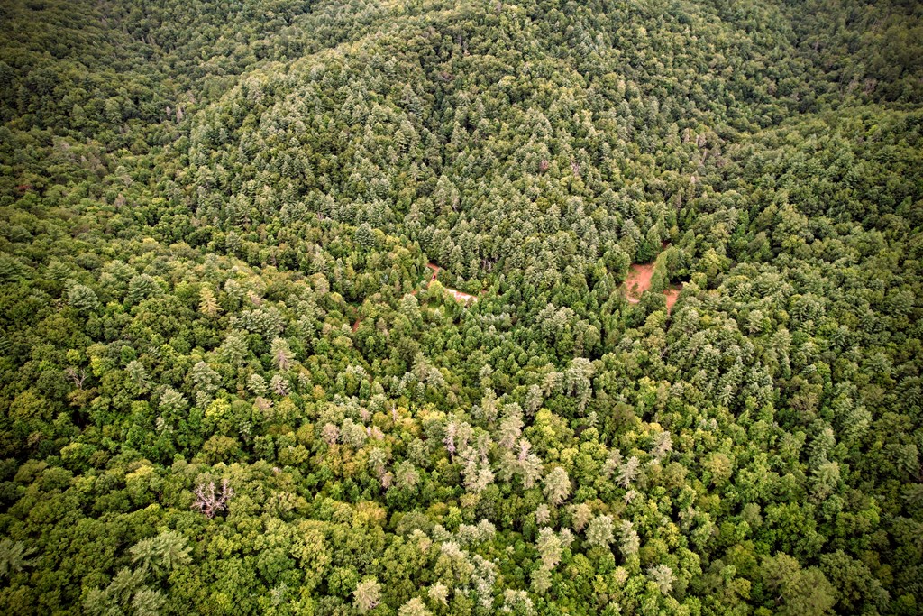 0 Flea Mountain Road Murphy, NC 28906 - Photo 49 of 54