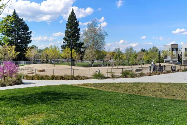 a view of a street with a tree in the background