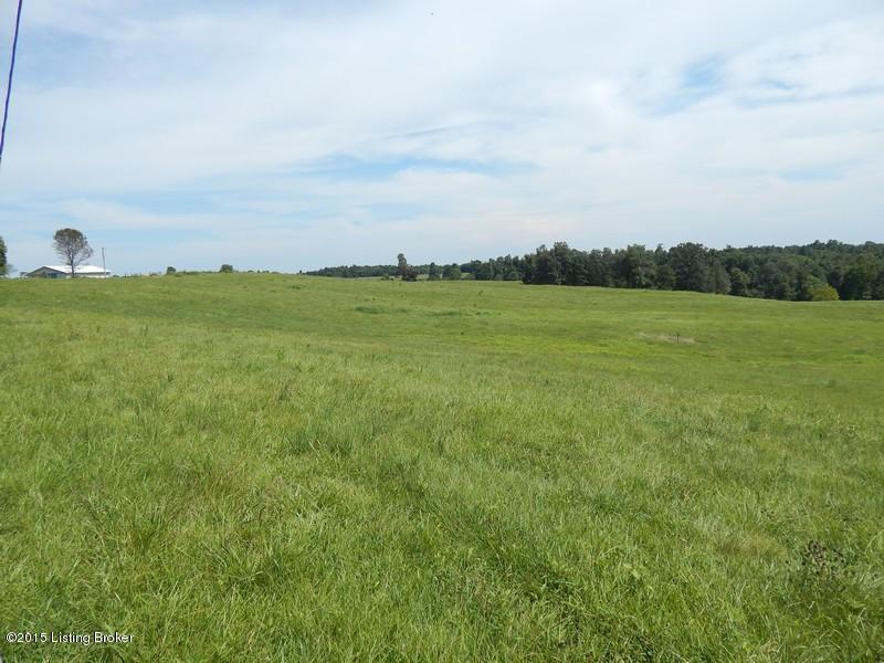 369 Gray Road Leitchfield, KY 42754 - Photo 32 of 47 431 369 Gray Rd