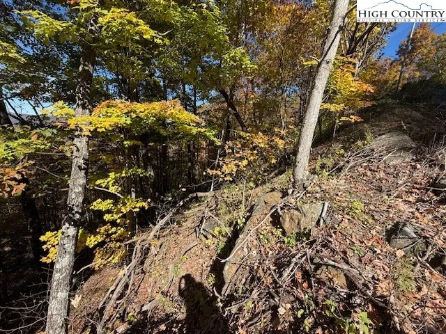 $22,500 | Lot 50-51 Poplar Trail, Creston, NC 28615