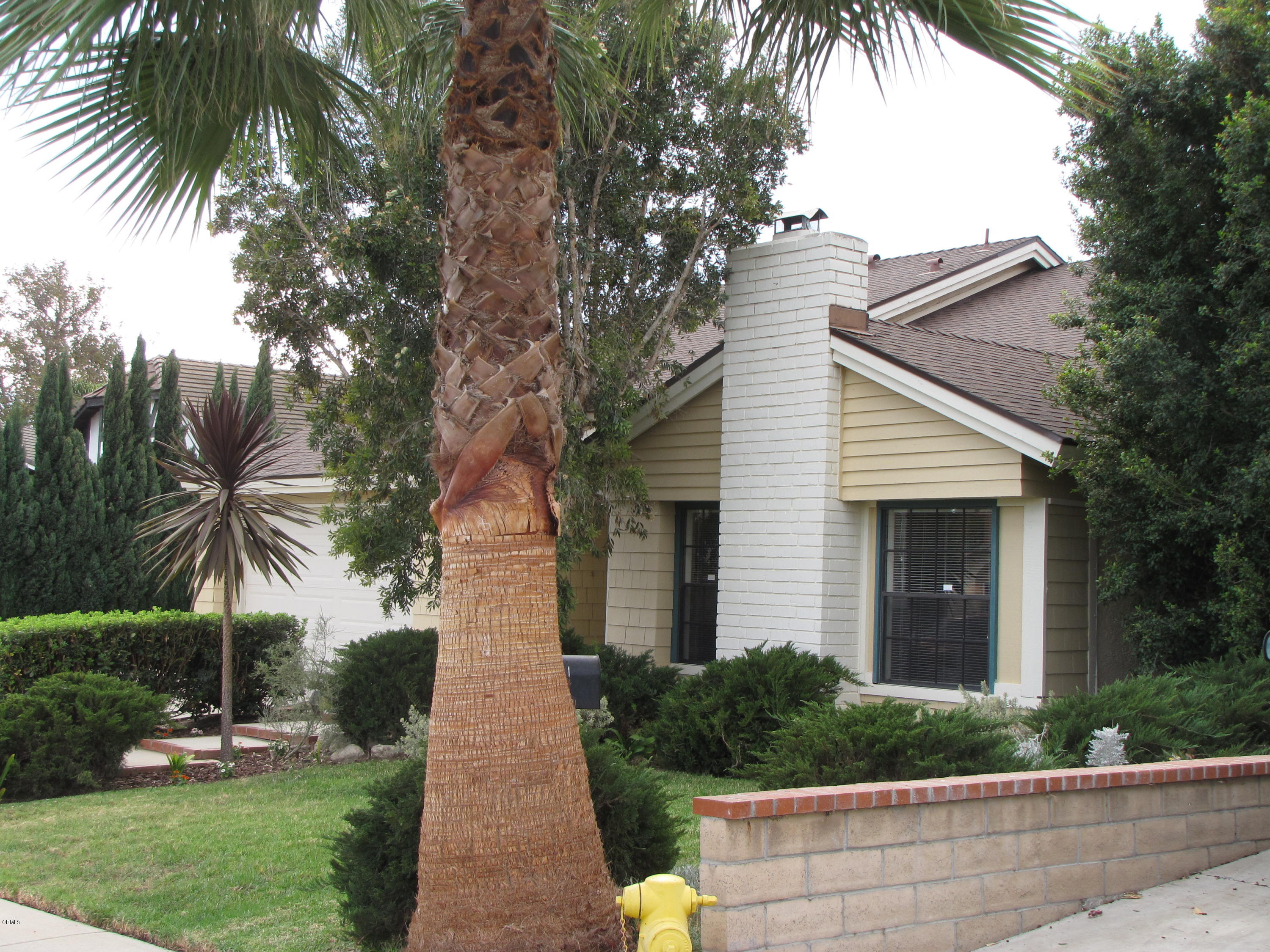 1949 El Rancho Drive Camarillo, CA 93010 - Photo 4 of 44 Corner angle El Rancho ext.