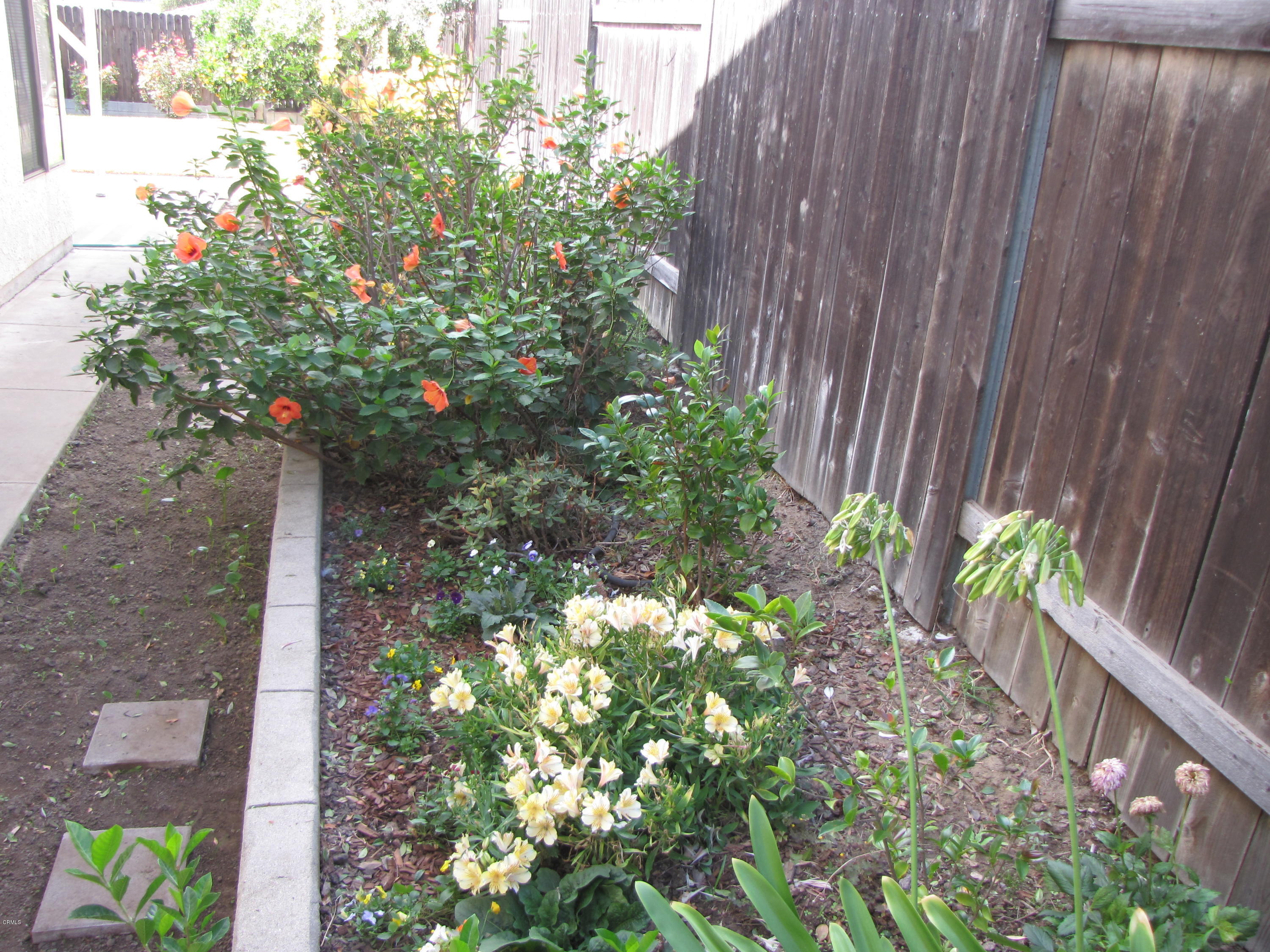 1949 El Rancho Drive Camarillo, CA 93010 - Photo 43 of 44 IMG_0133