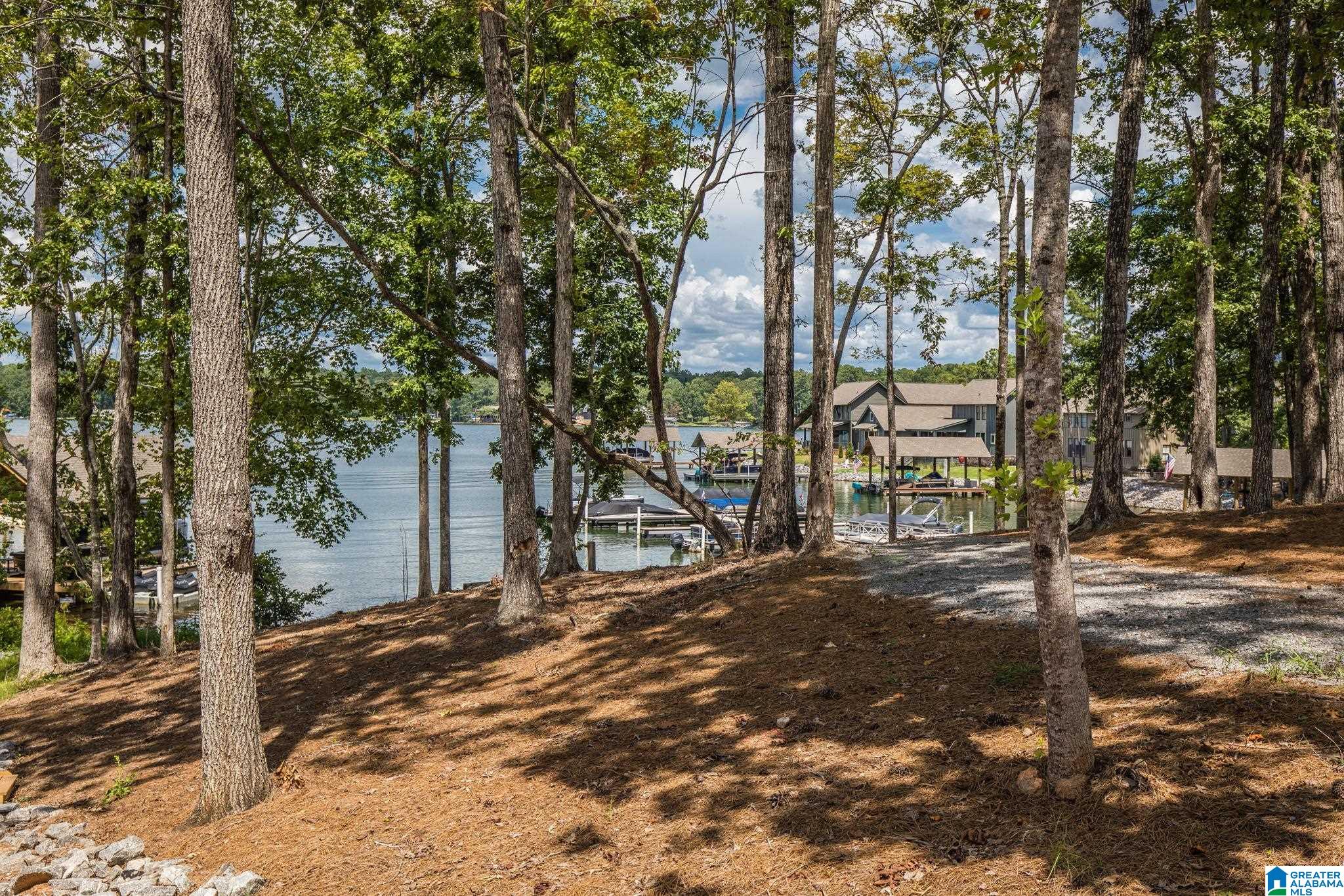 398 Old Jay Road Eclectic, AL 36024 - Photo 4 of 43