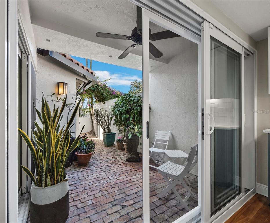 200 Cocoanut Avenue, Unit 7 Sarasota, FL 34236 - Photo 27 of 63 a view of a potted plant in front of a glass door