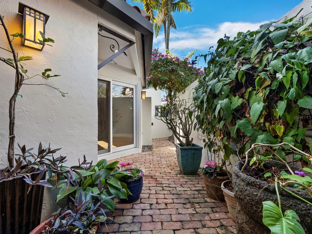 200 Cocoanut Avenue, Unit 7 Sarasota, FL 34236 - Photo 28 of 63 a potted plant sitting in front of a house