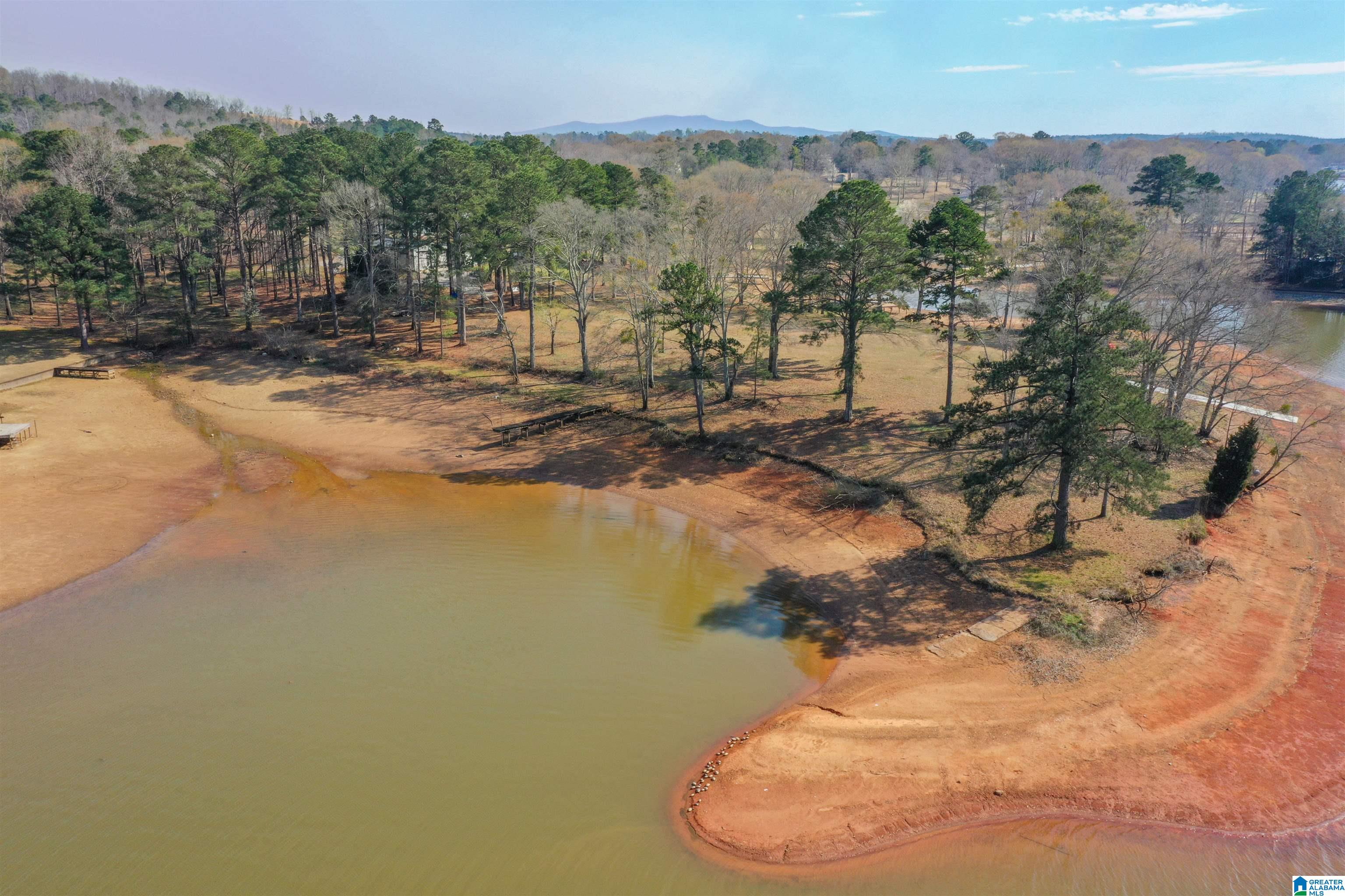 1600 Funderburg Bend Road Pell City, AL 35128 - Photo 2 of 49