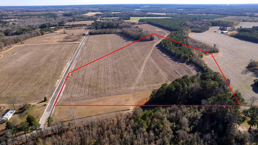 2400 Ike Brunson Road Alcolu, SC 29001 - Photo 1 of 19 Gallery Image 1