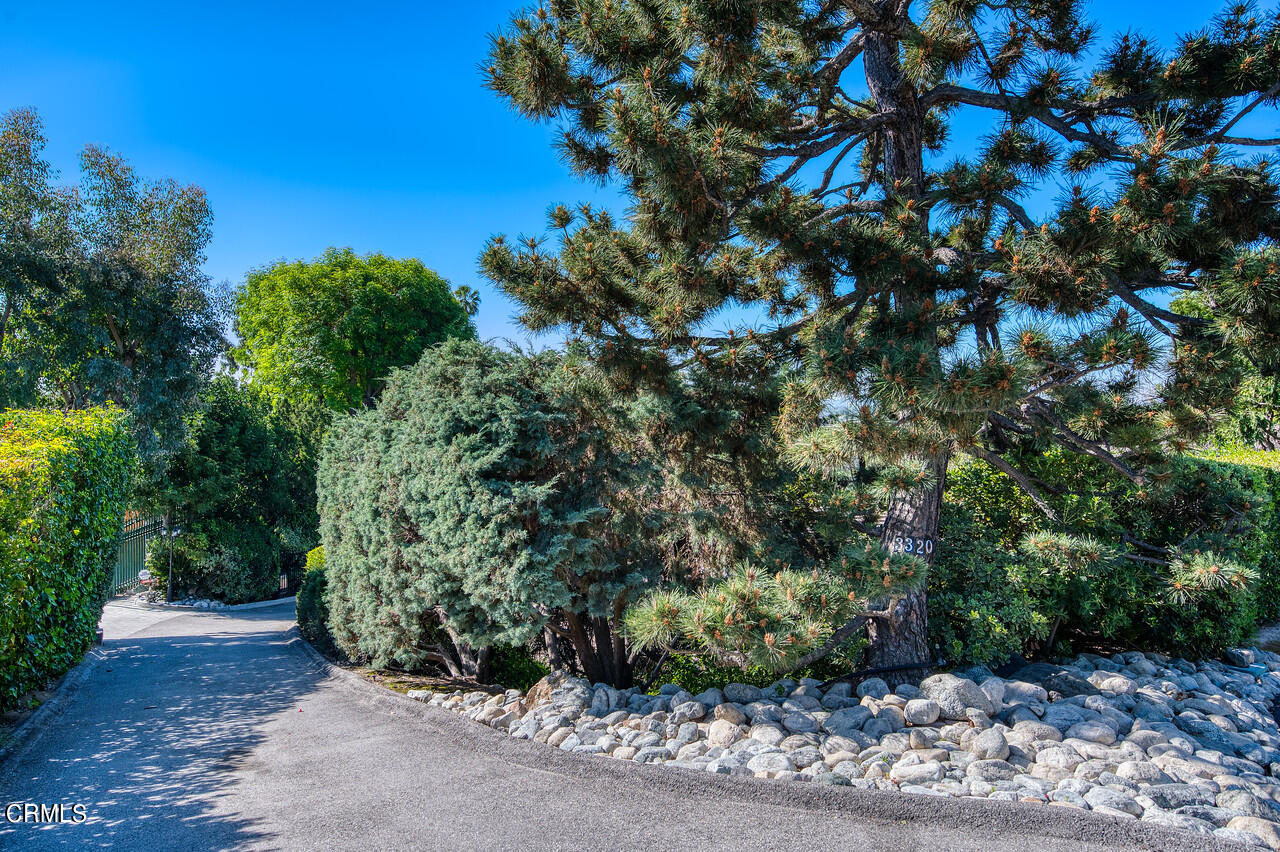 3320 Calvert Road Pasadena, CA 91107 - Photo 2 of 27 a view of a plants with a tree