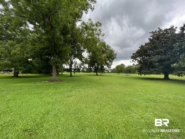 4 West Highway 4 Century, FL 32535 - Photo 5 of 14