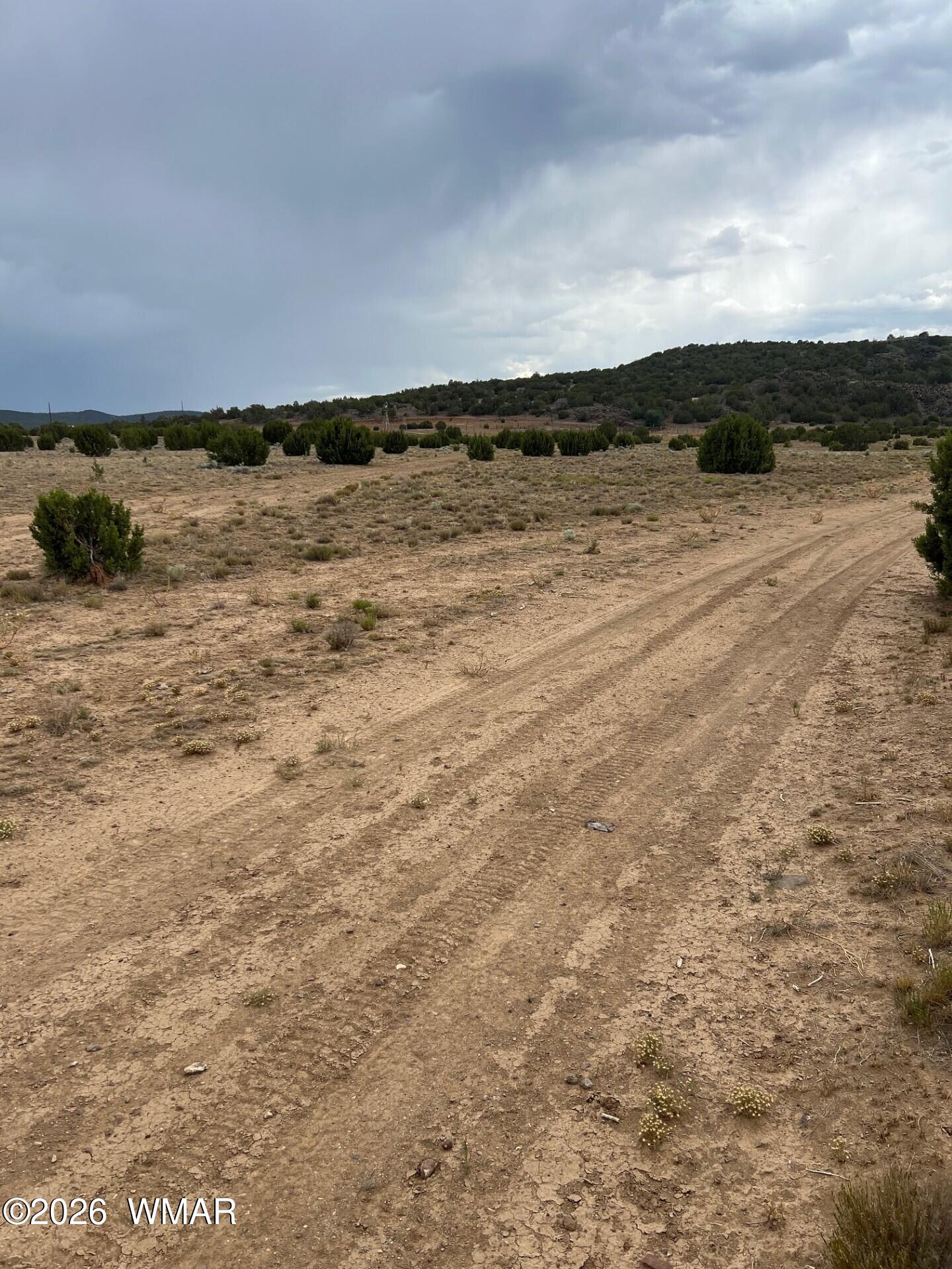 Tbd 8206 Concho, AZ 85924 - Photo 6 of 12
