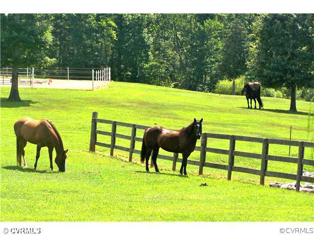 4695 Old Buckingham Road Powhatan, VA 23139 - Photo 8 of 18 Gallery Image 8