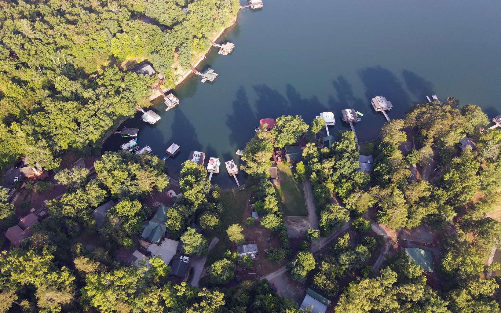 408 Timmy Circle Morganton, GA 30560 - Photo 11 of 31 a view of a flower