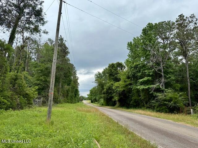 Mt Herman Road Osyka, MS 39657 - Photo 48 of 53 IMG_5430