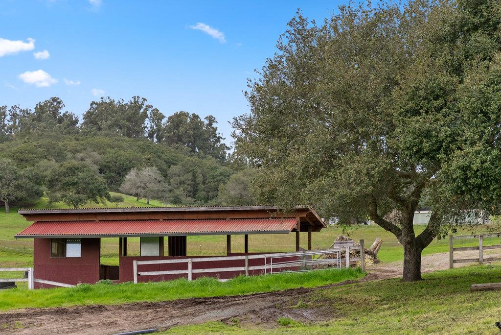 98 Paddon Road Watsonville, CA 95076 - Photo 25 of 28 a view of outdoor space with garden and trees