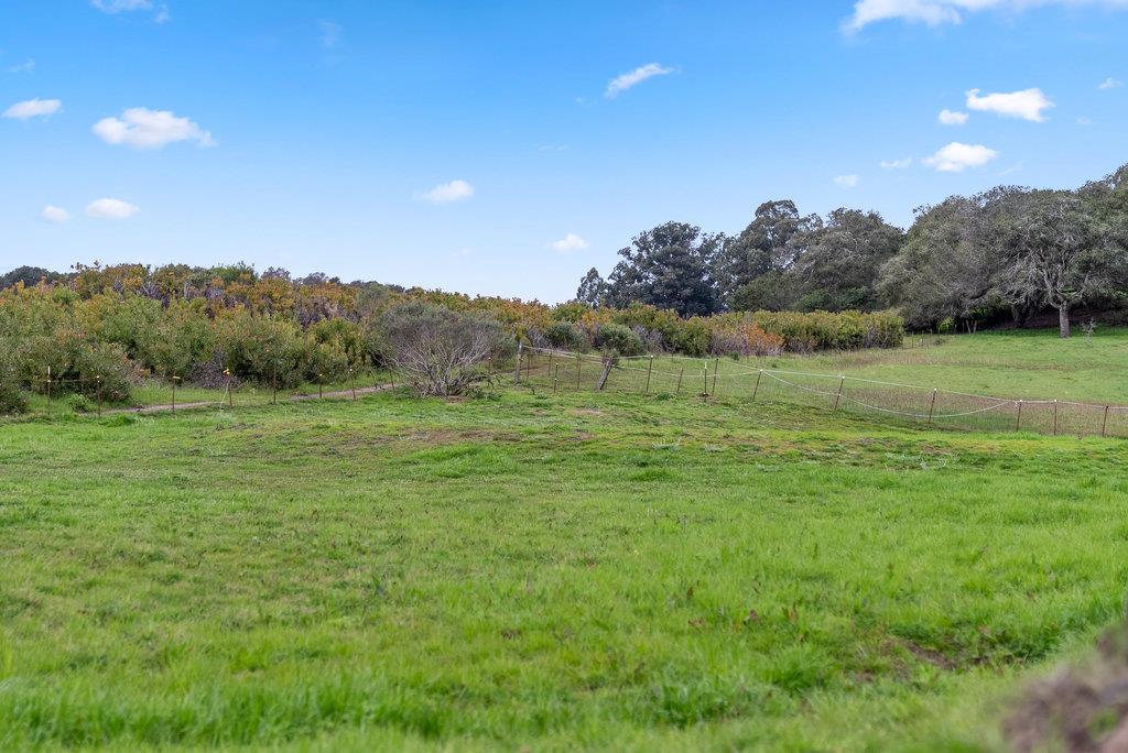 98 Paddon Road Watsonville, CA 95076 - Photo 26 of 28 a view of a field with an trees