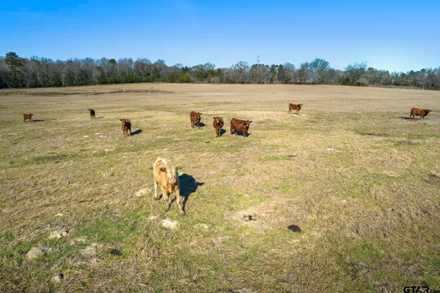 a view of a lake with a yard and mountain view