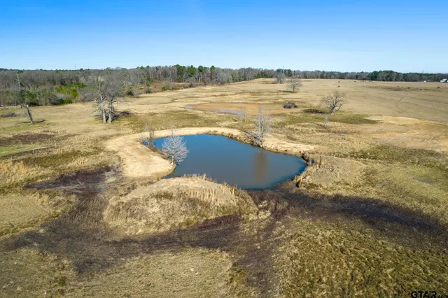 a view of a lake with a mountain