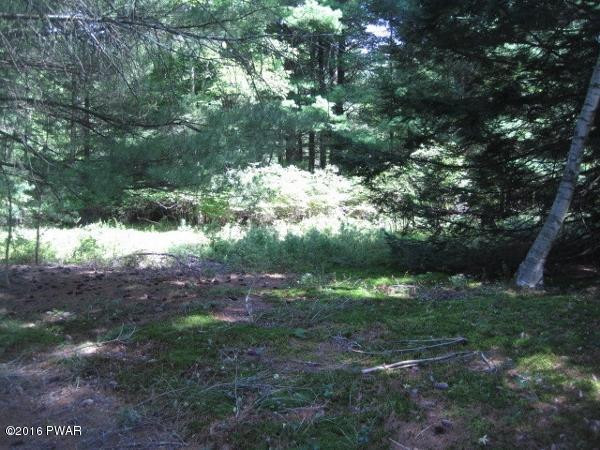 Greeley Lake Road Greeley, PA 18425 - Photo 6 of 7