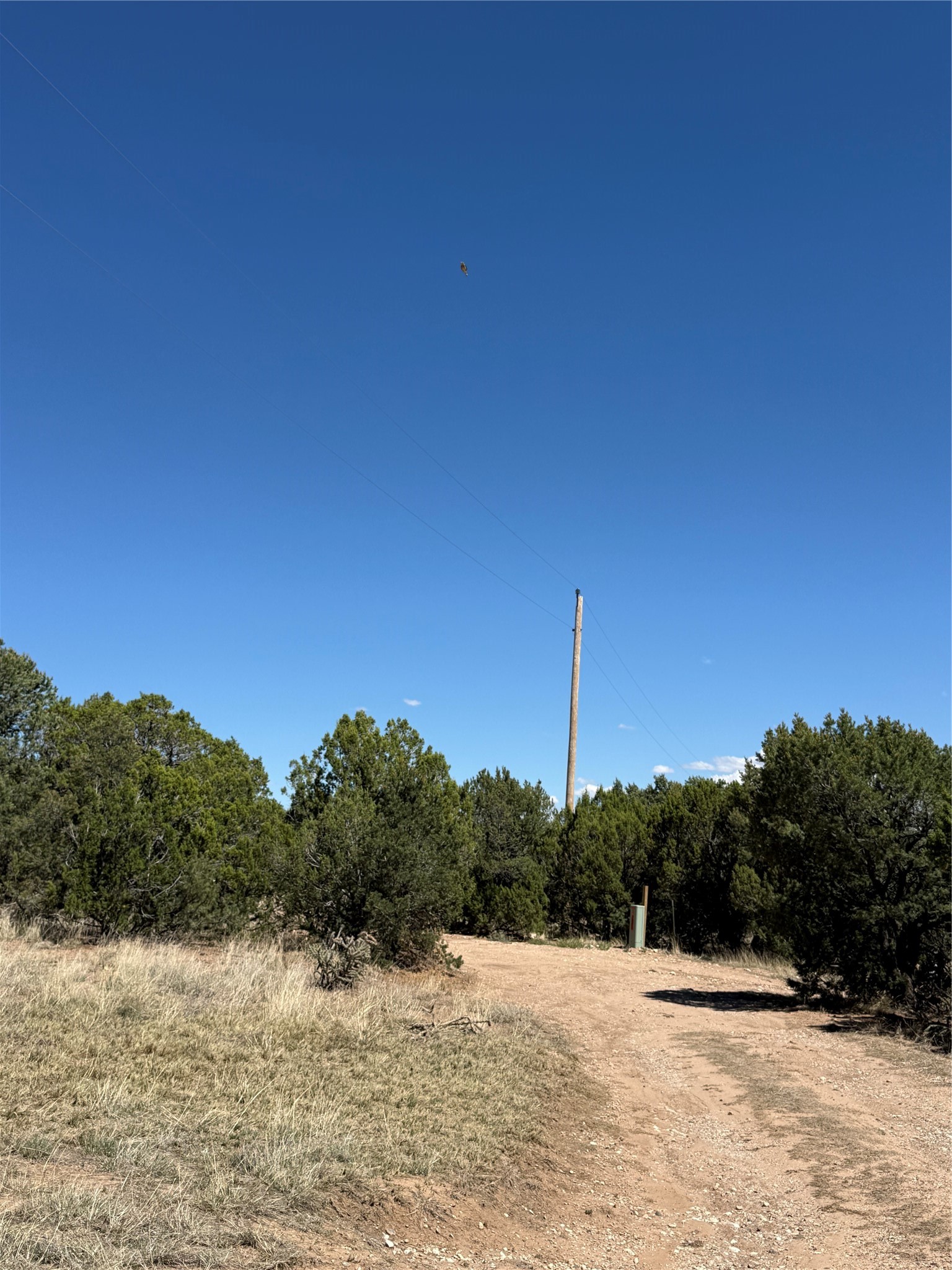 174 Hidden Valley Ranch Road Ilfeld, NM 87538 - Photo 14 of 30