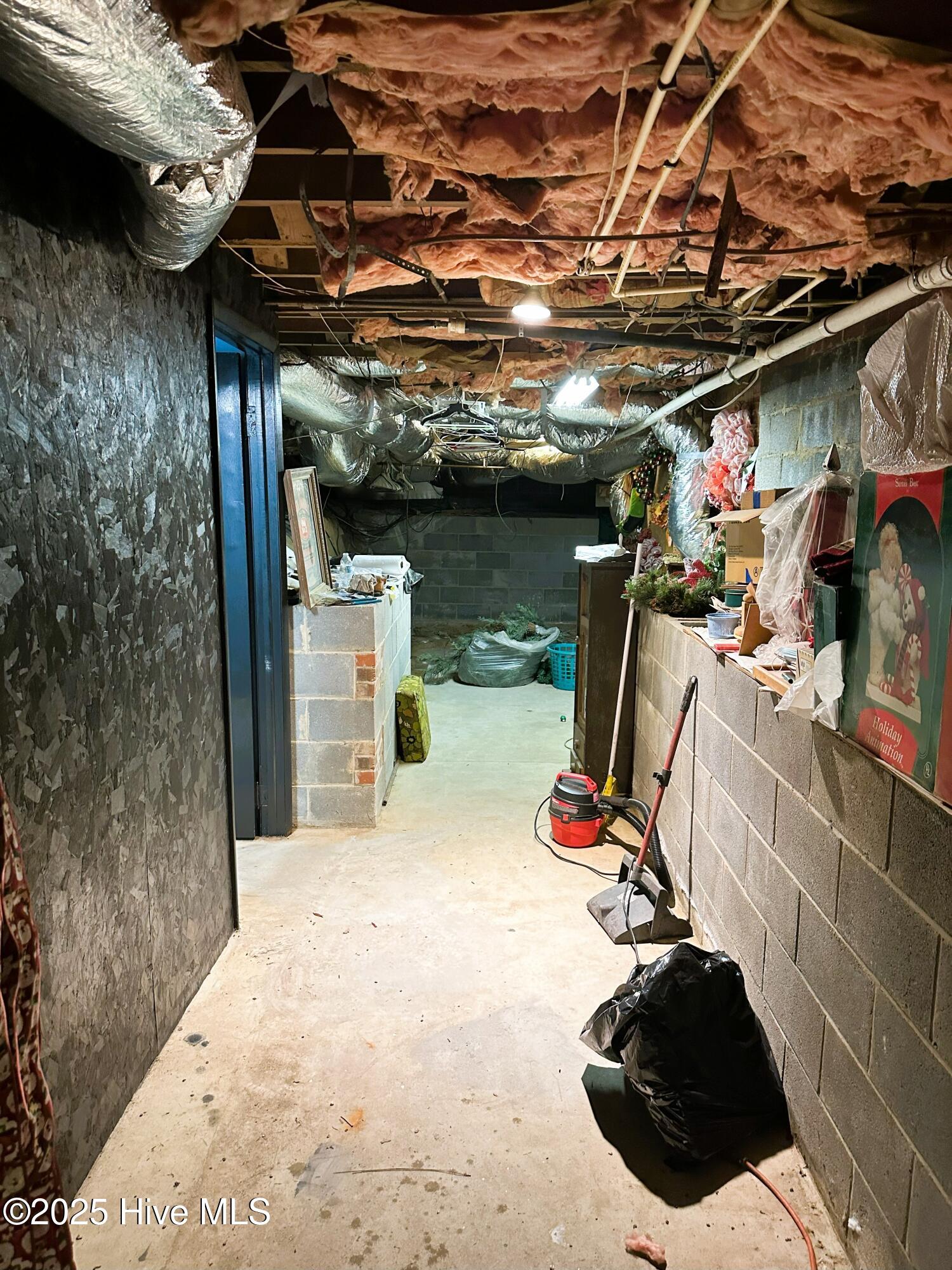320 Aiken Road Southern Pines, NC 28387 - Photo 20 of 26 Storage from Garage Under Home and walkway to flex space