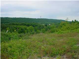 6 Mcdowell Decatur, TN 37322 - Photo 1 of 7 Primary Photo