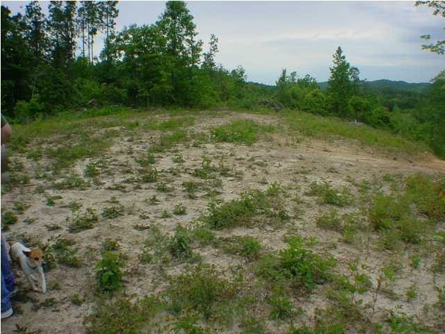 6 Mcdowell Decatur, TN 37322 - Photo 4 of 7 Additional Photo