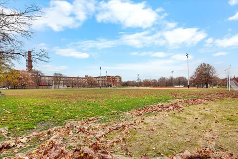 a view of a yard with a tree
