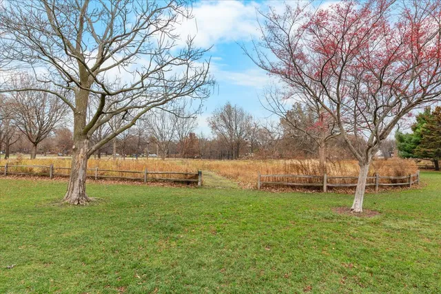 a view of a yard with a tree