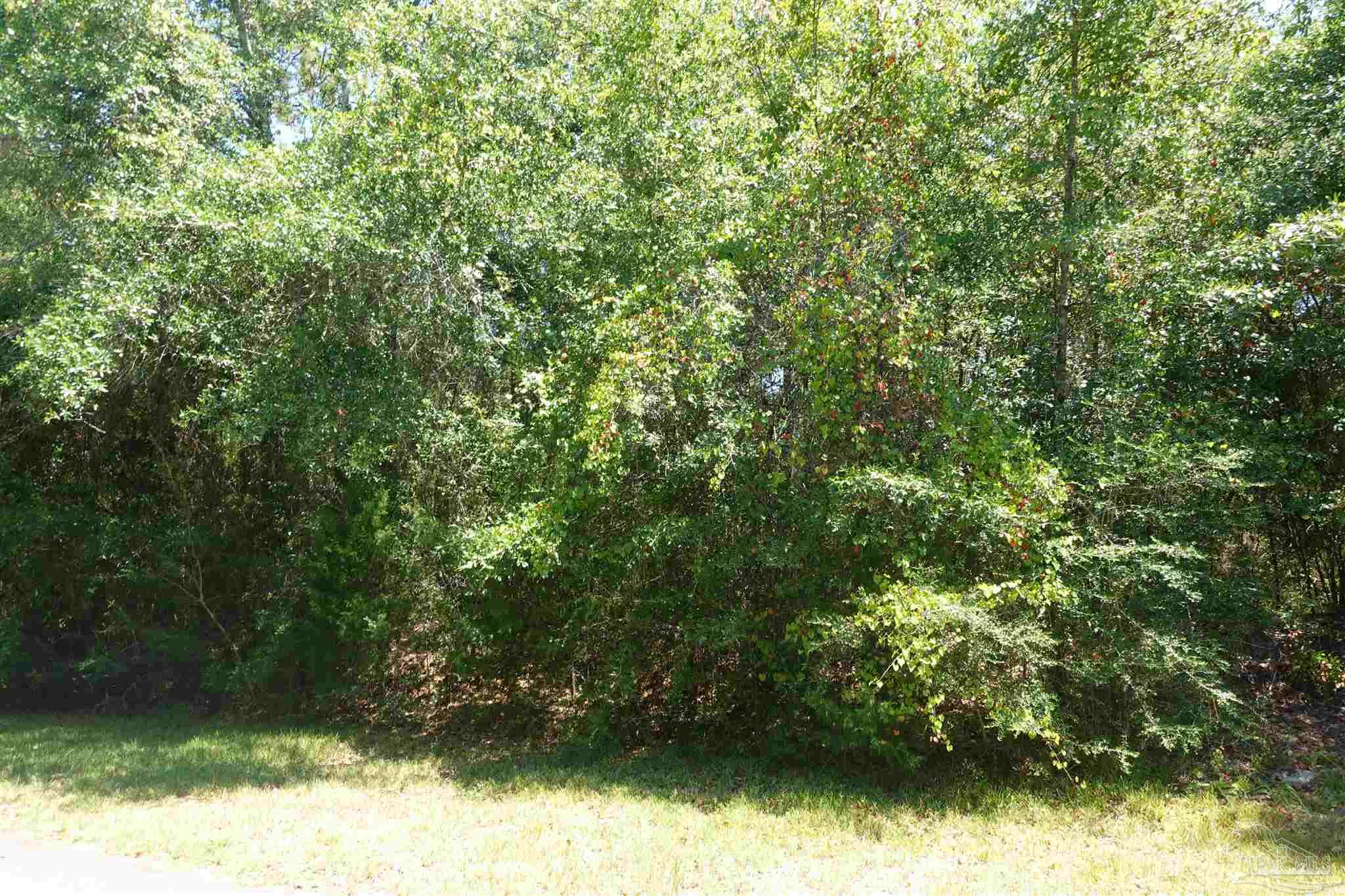 0 Riverwood Road Milton, FL 32570 - Photo 3 of 5 Gallery Image 3