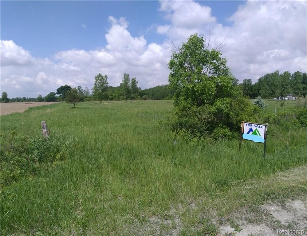 10 A Mason Road Yale, MI 48097 - Photo 1 of 8