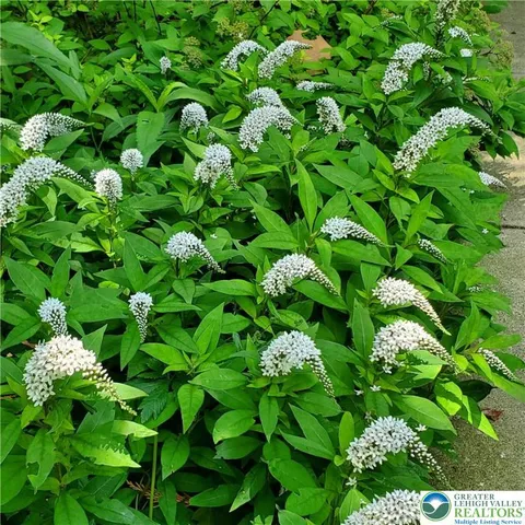 $149,000 | 55 Sycamore Drive, Bath, PA 18014