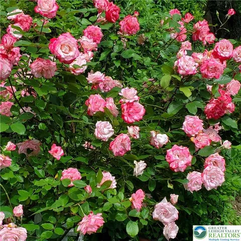 $149,000 | 55 Sycamore Drive, Bath, PA 18014