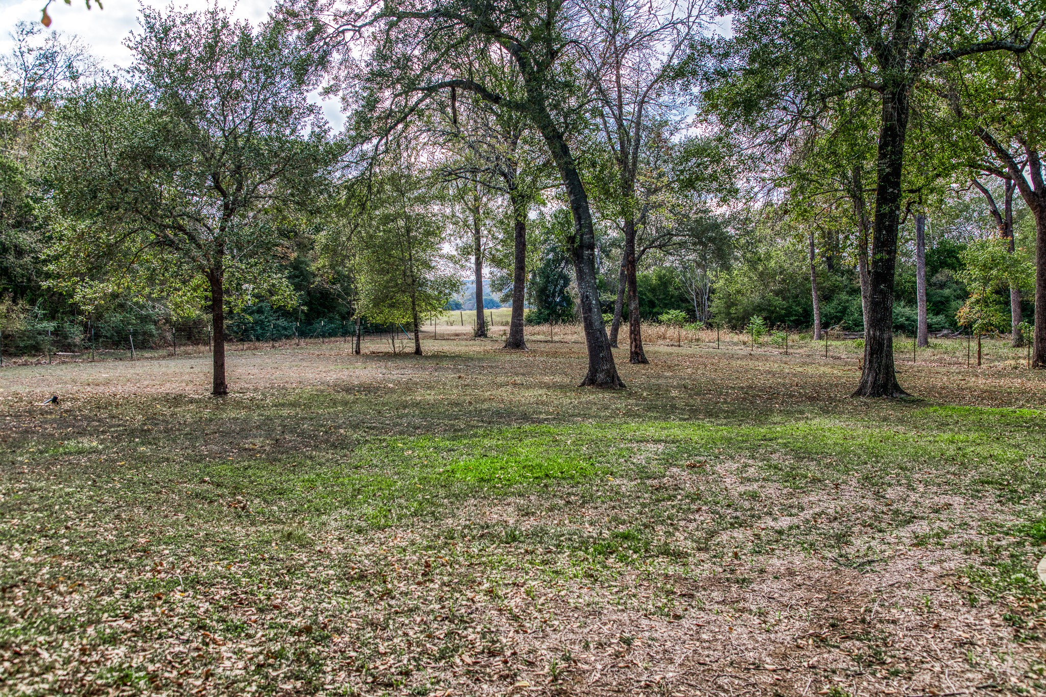 533 Bybee Road Round Top, TX 78954 - Photo 23 of 29 a view of entertaining space with trees