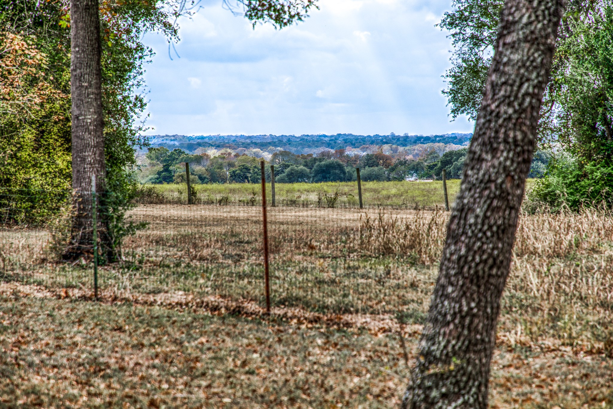 533 Bybee Road Round Top, TX 78954 - Photo 24 of 29 a view of a park