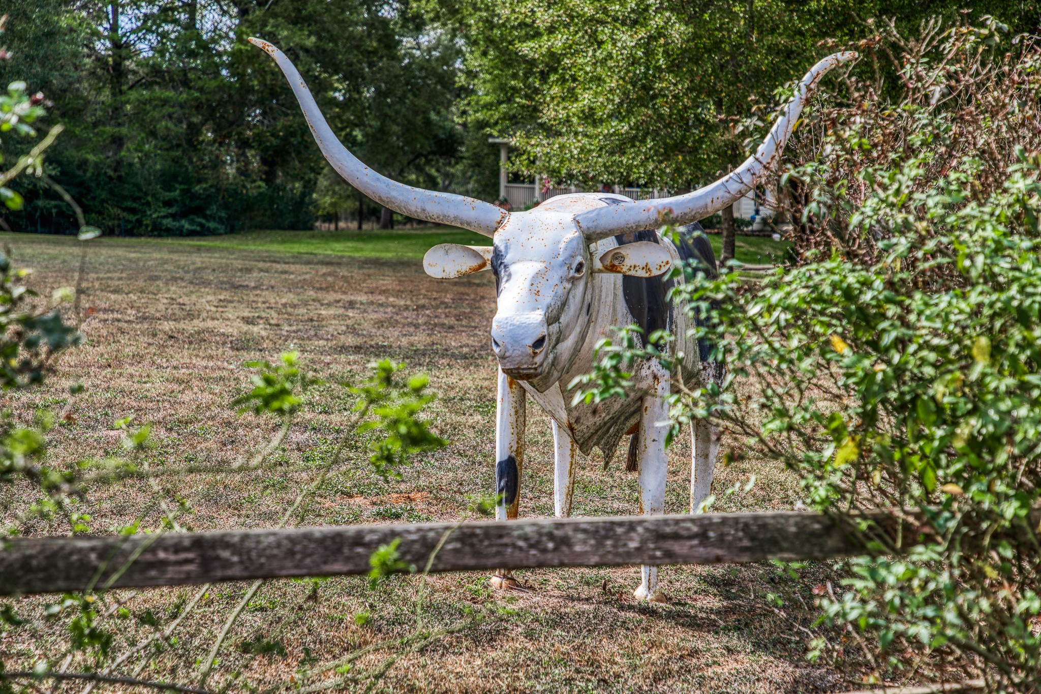 533 Bybee Road Round Top, TX 78954 - Photo 28 of 29