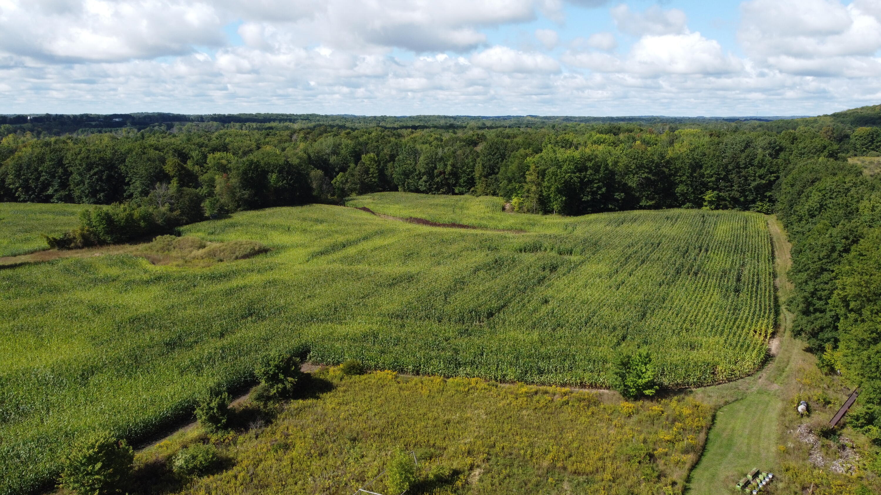 8260 South Rolland Road Blanchard, MI 49310 - Photo 3 of 25 DJI_0387