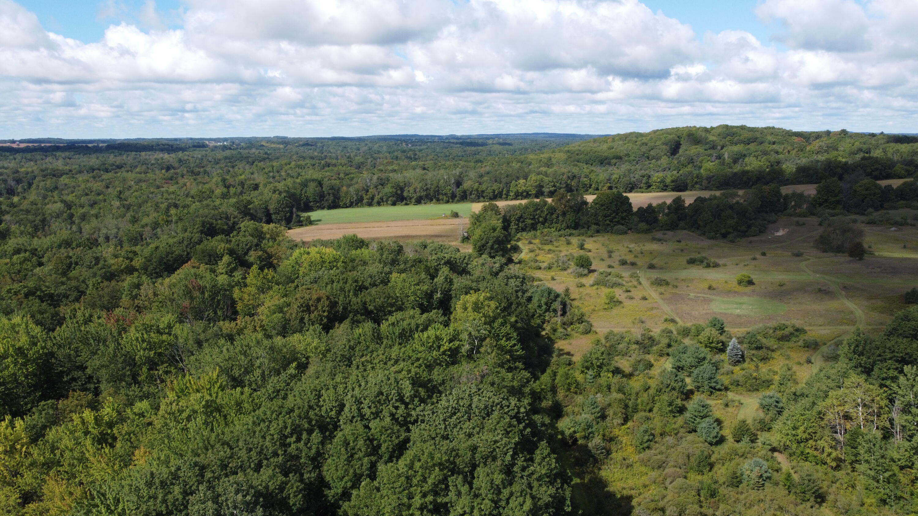8260 South Rolland Road Blanchard, MI 49310 - Photo 4 of 25 DJI_0399