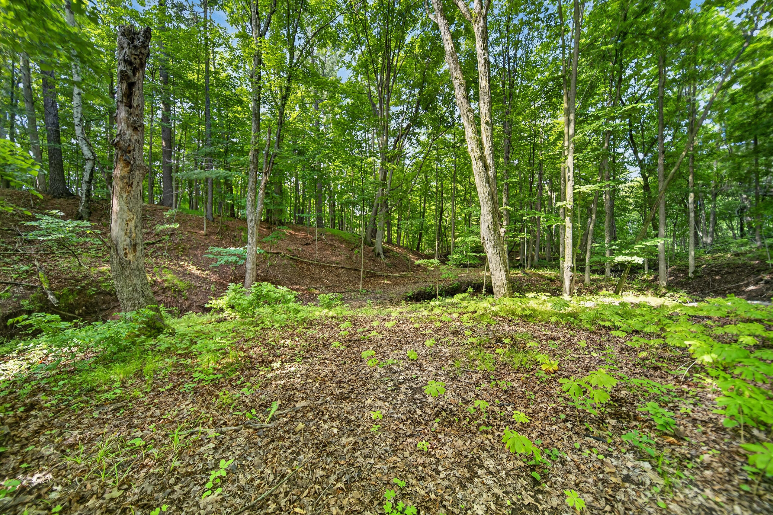 W3741 Sumac Road Sheboygan Falls, WI 53085 - Photo 78 of 83 DSC04917