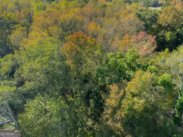 $18,000 | 0 White Street, Tallapoosa, GA 30176