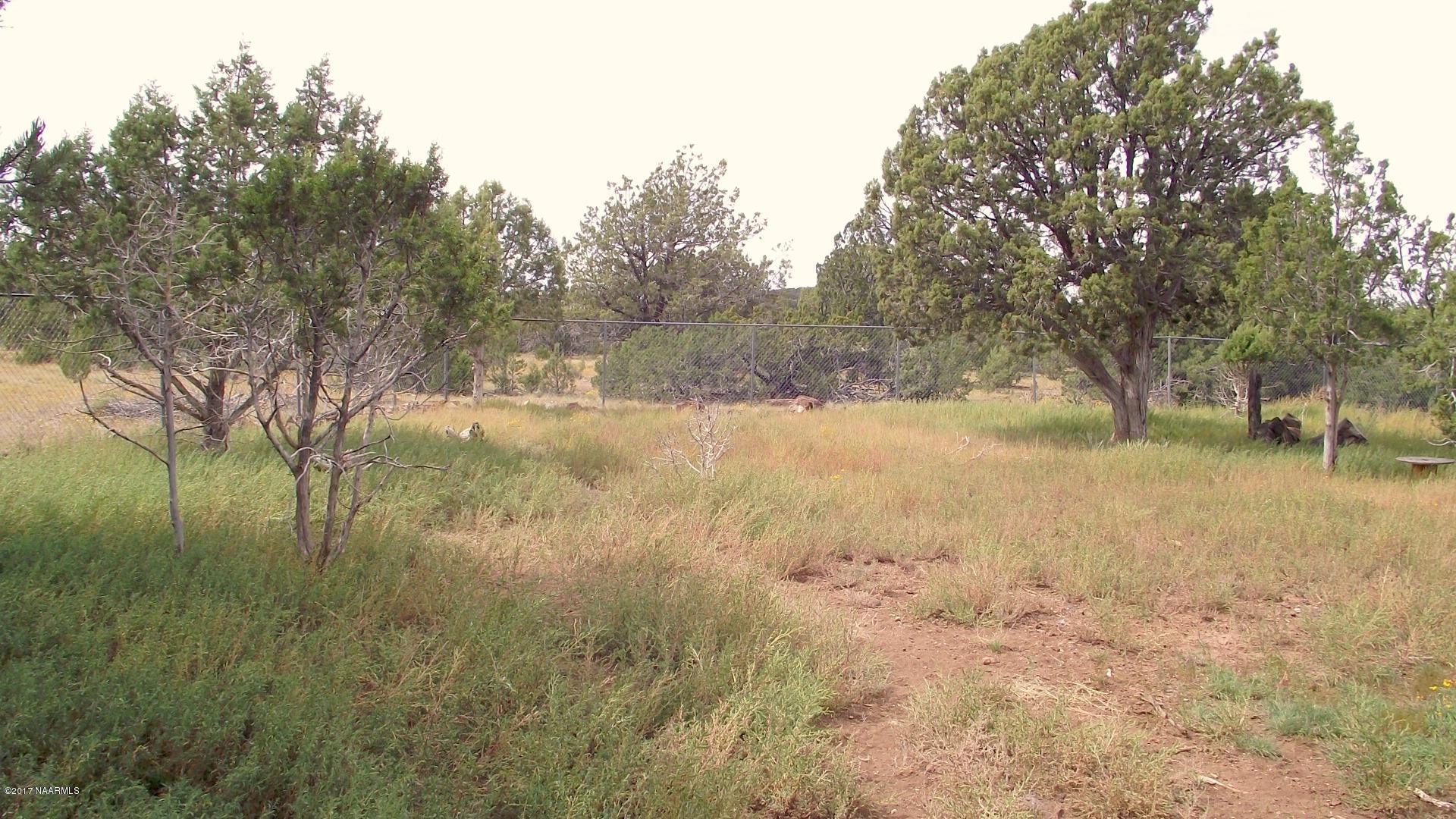 7780 North Rocky Ridge Road Williams, AZ 86046 - Photo 29 of 43 DSCF0099